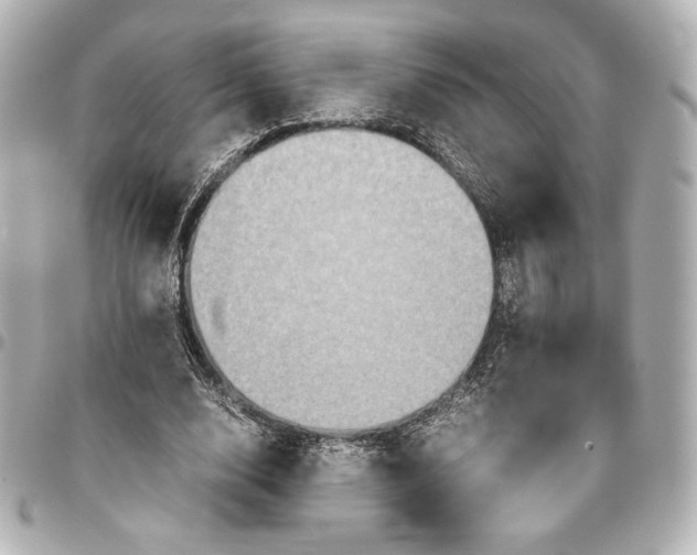 X0000094950632200712201138