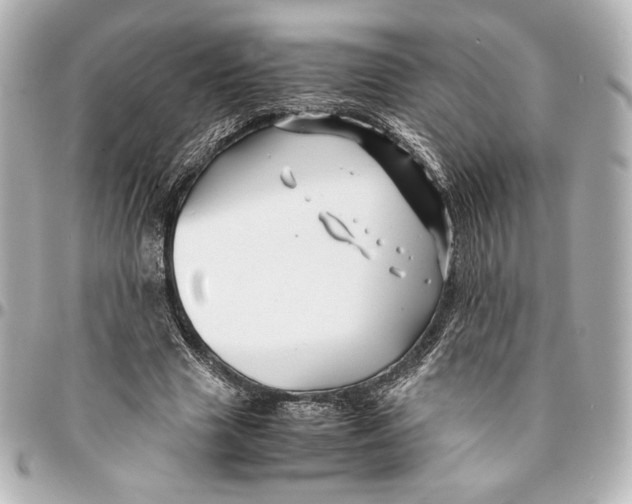 X0000094950633200712201138