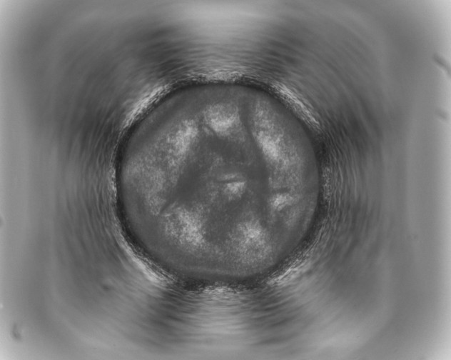 X0000094950634200712201138