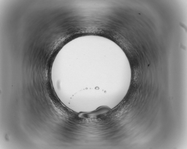 X0000094950636200712201138