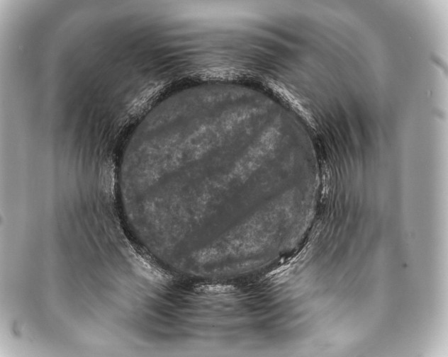 X0000094950637200712201138