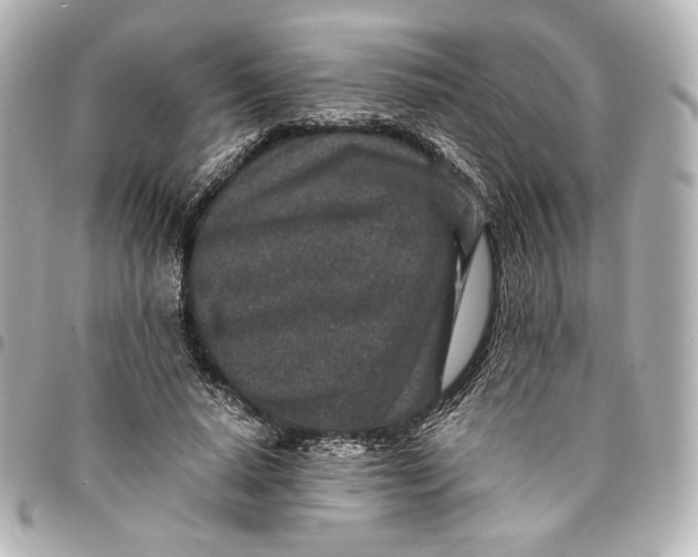 X0000094950640200712201138