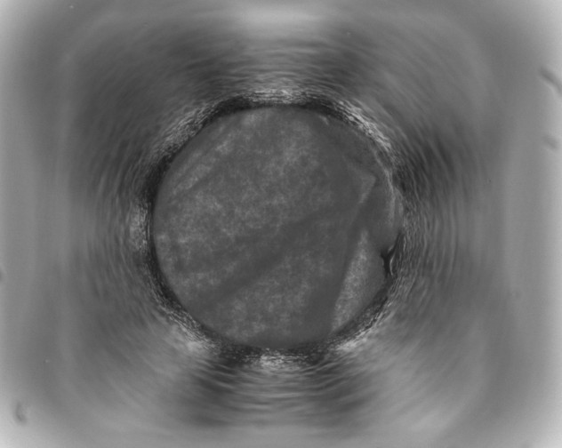 X0000094950641200712201138