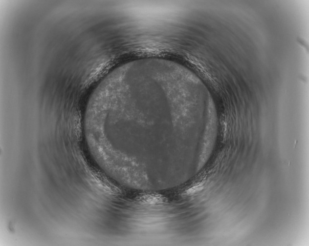 X0000094950642200712201138