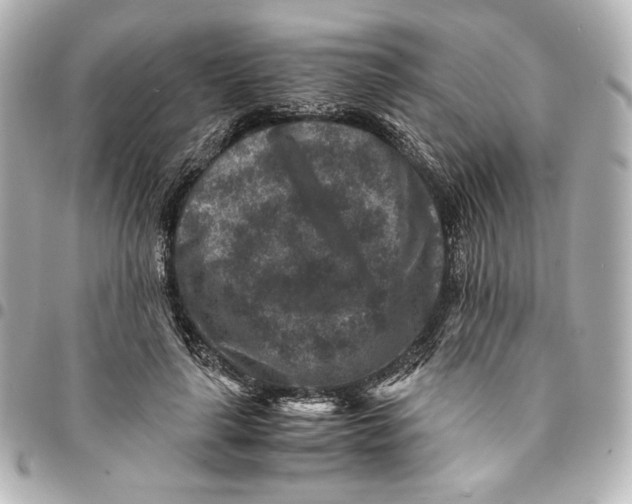 X0000094950643200712201138