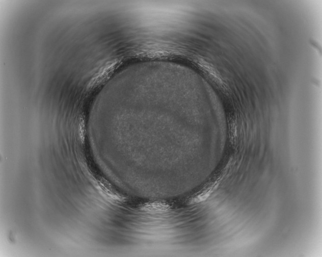 X0000094950644200712201139