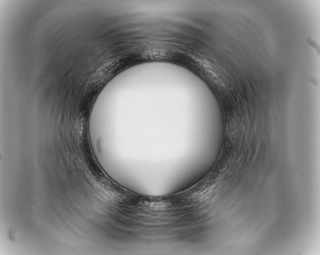 X0000094950645200712201139