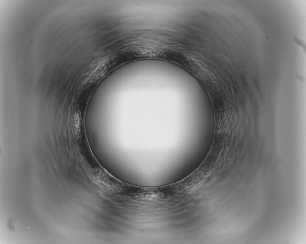 X0000094950646200712201139