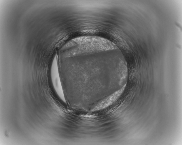 X0000094950647200712201139