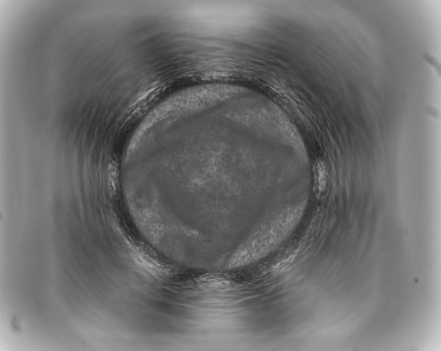 X0000094950648200712201139