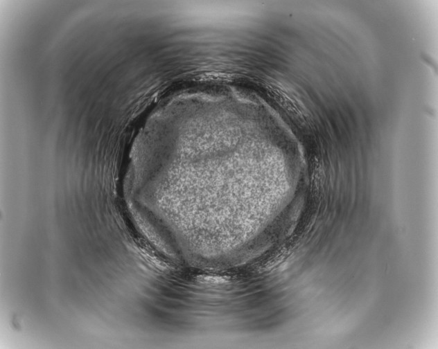 X0000094950649200712201139