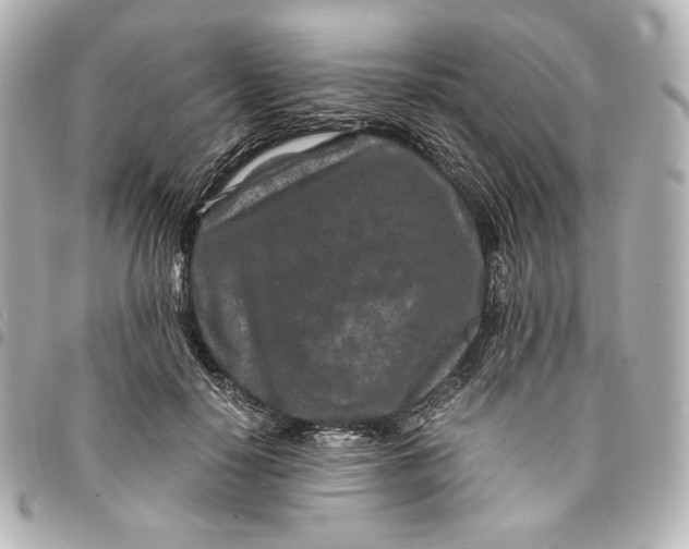 X0000094950650200712201139