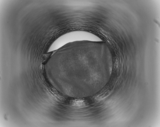 X0000094950651200712201139