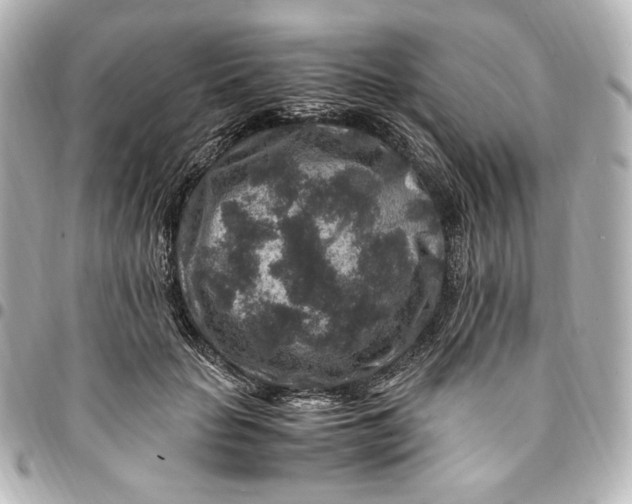 X0000094950653200712201139