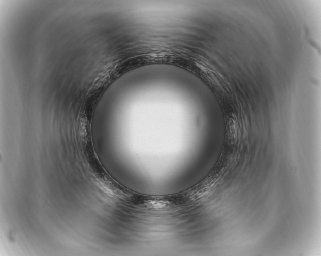 X0000094950654200712201139