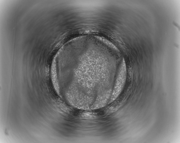 X0000094950657200712201139