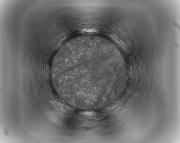 X0000094950659200712201139