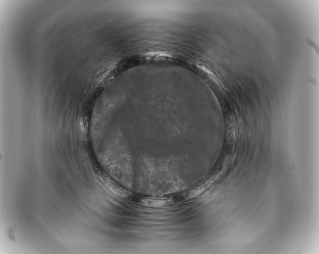 X0000094950661200712201139