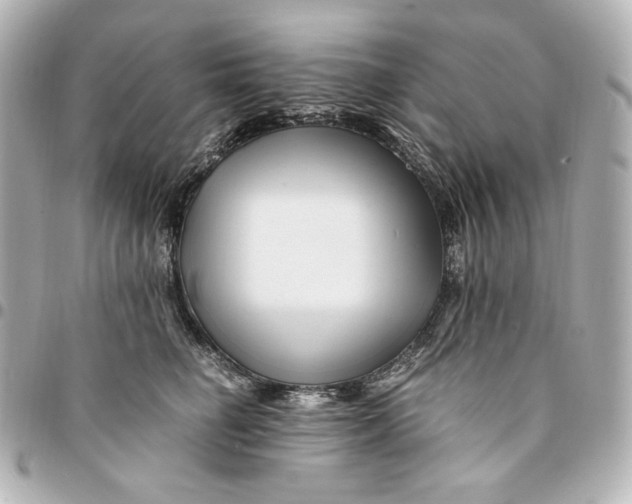 X0000094950662200712201139