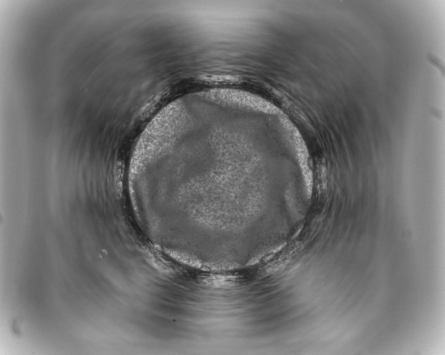 X0000094950664200712201139