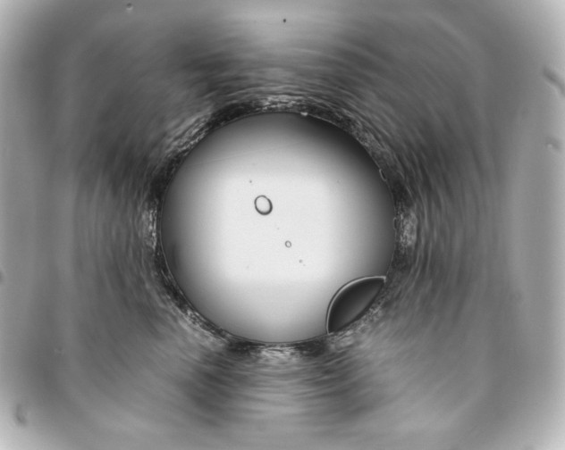 X0000094950666200712201139