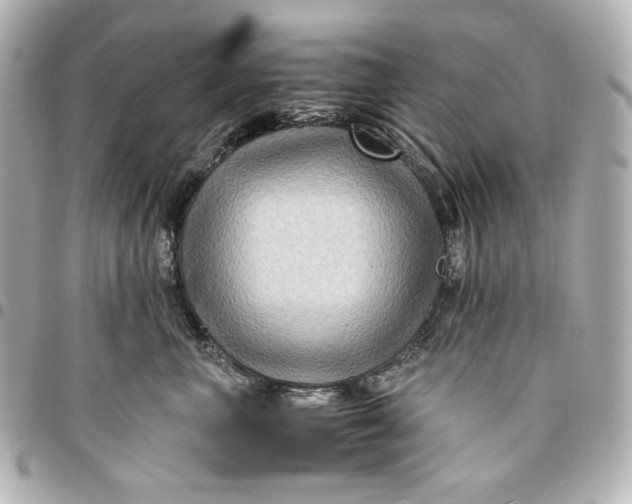 X0000094950667200712201139