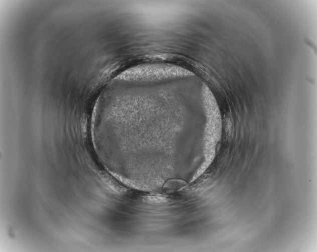 X0000094950668200712201139