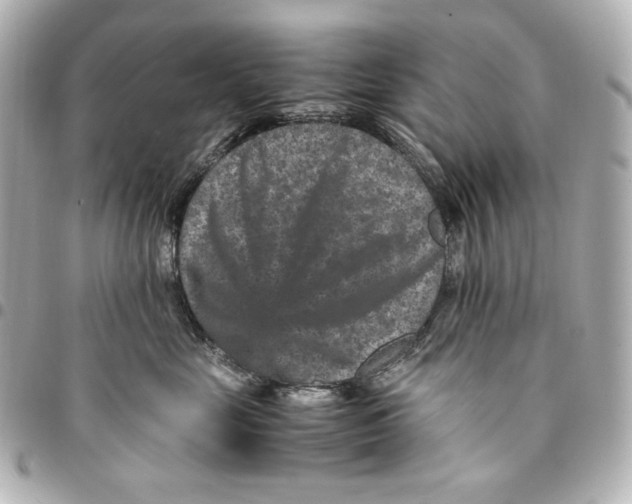 X0000094950669200712201139