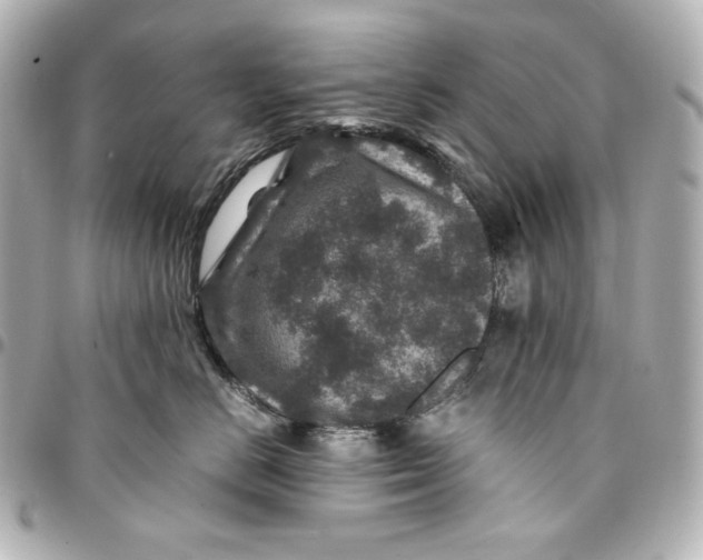 X0000094950670200712201139