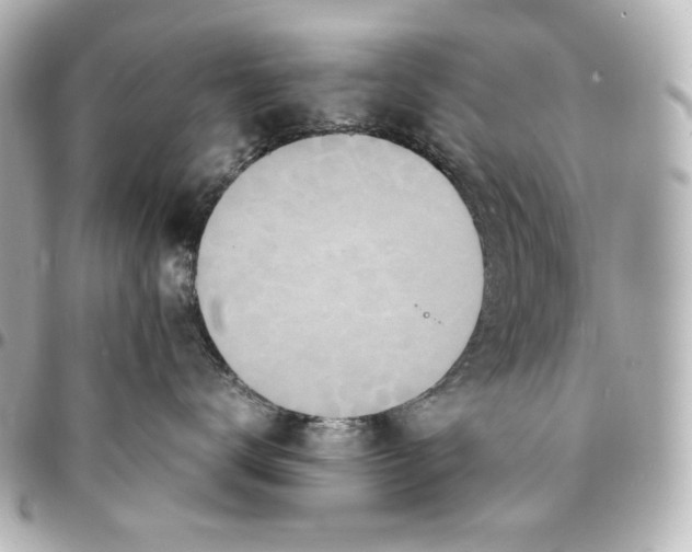 X0000094950672200712201139