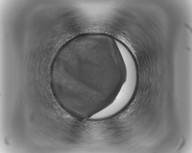 X0000094950673200712201138