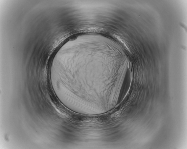 X0000094950674200712201138