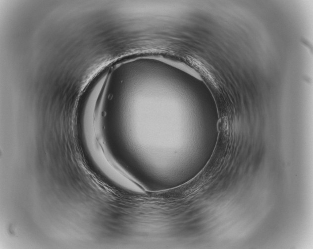 X0000094950676200712201138