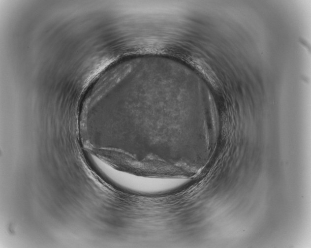 X0000094950677200712201138