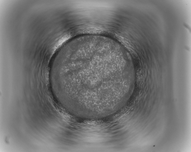 X0000094950679200712201138