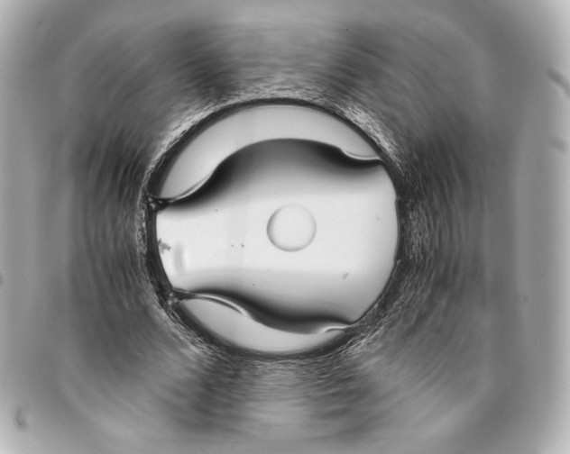 X0000094950680200712201138