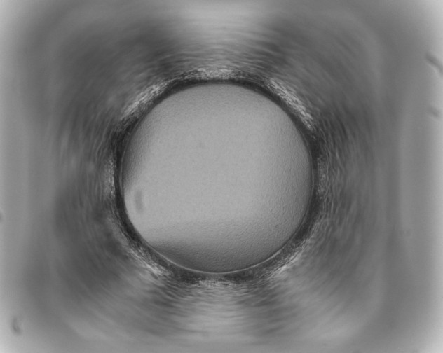 X0000094950681200712201138