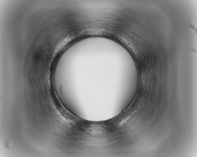 X0000094950682200712201138