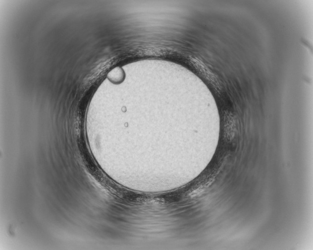 X0000094950683200712201138