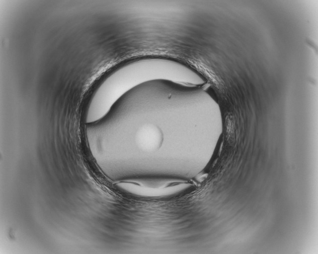 X0000094950684200712201138