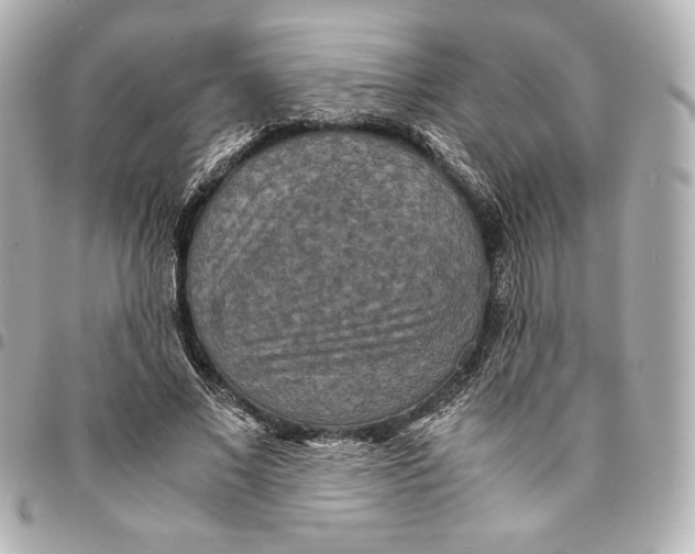 X0000094950685200712201138