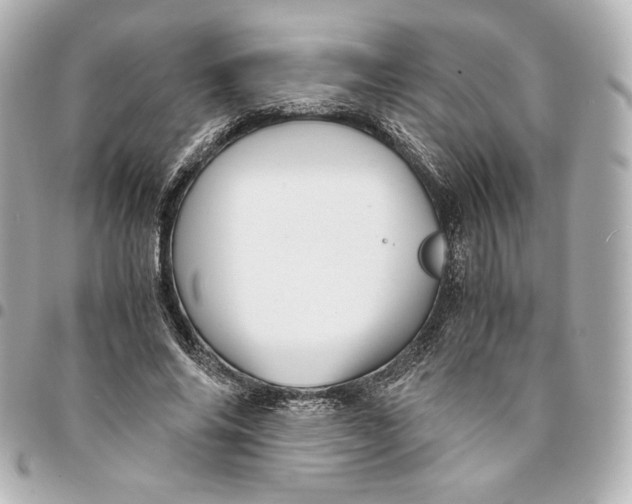 X0000094950686200712201138