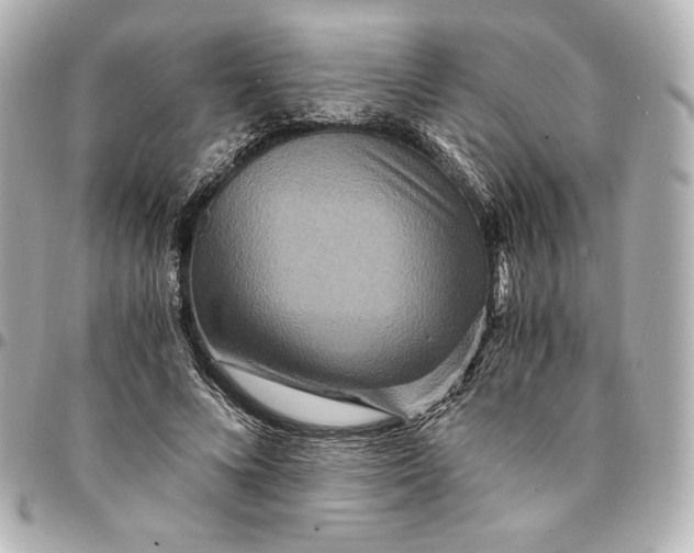 X0000094950688200712201138