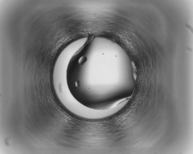 X0000094950689200712201138