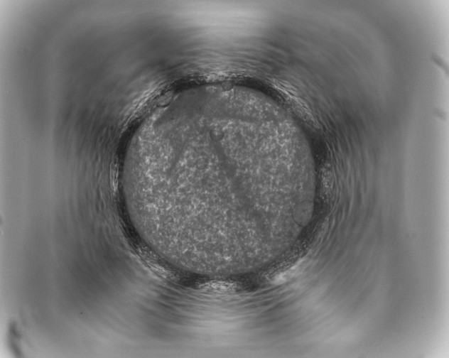 X0000094950691200712201138