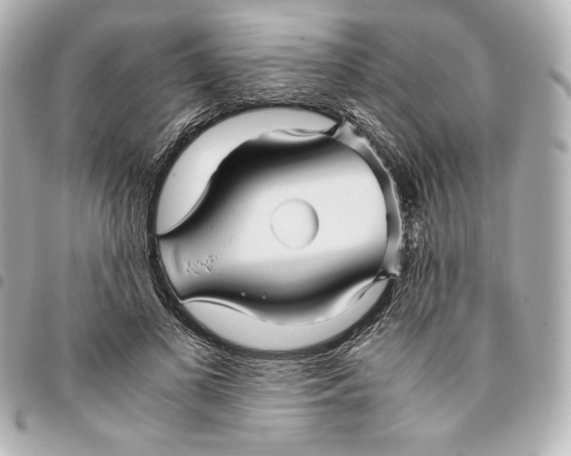 X0000094950693200712201138