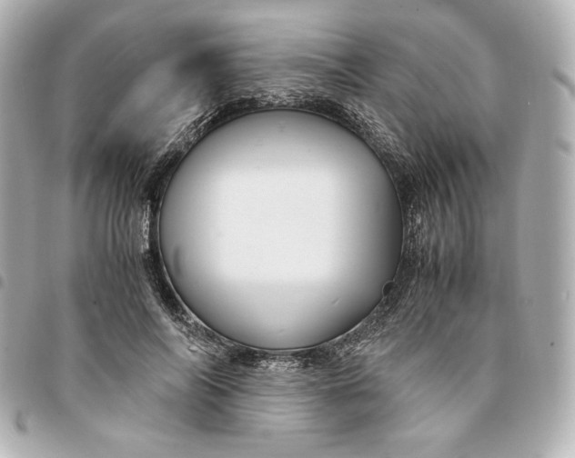 X0000094950694200712201138