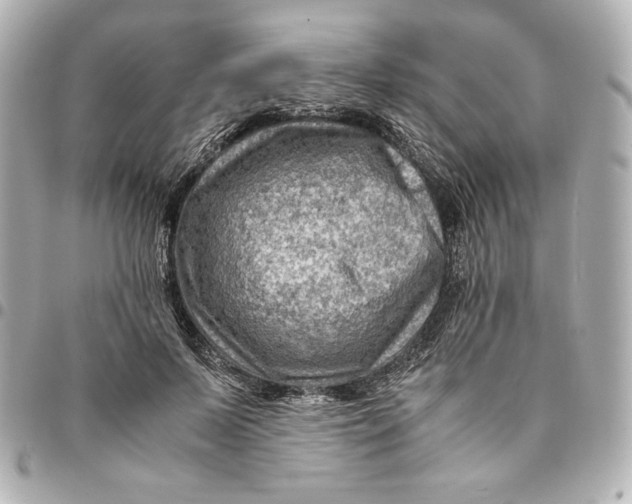 X0000094950695200712201138