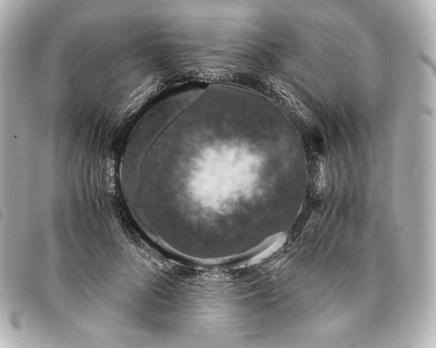 X0000094950696200712201138