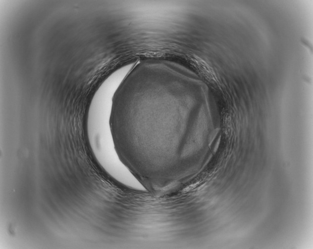 X0000094950697200712201138